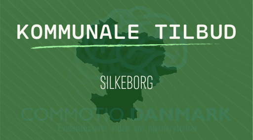 Tilbud til hjernerystelsesramte i Silkeborg Kommune