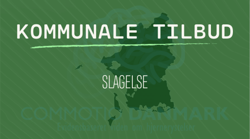 Tilbud til hjernerystelsesramte i Slagelse Kommune