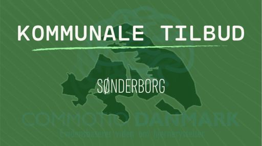 Tilbud til hjernerystelsesramte i Sønderborg Kommune