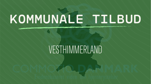 Tilbud til hjernerystelsesramte i Vesthimmerlands Kommune