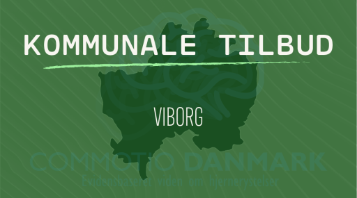 Tilbud til hjernerystelsesramte i Viborg Kommune