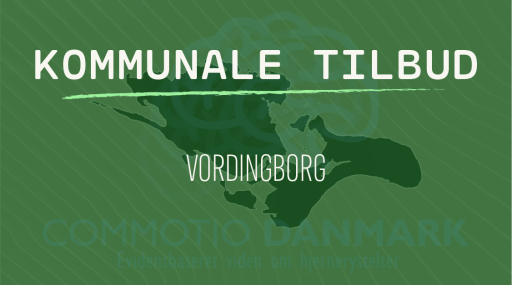 Tilbud til hjernerystelsesramte i Vordingborg Kommune