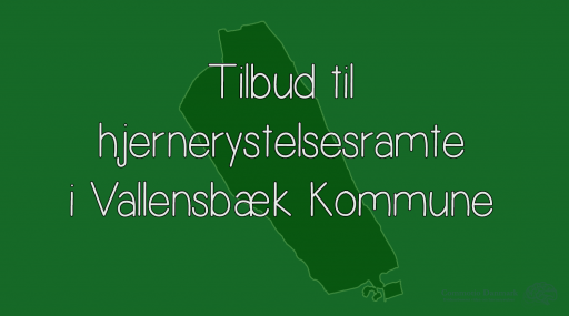 Tilbud til hjernerystelsesramte i Vallensbæk Kommune