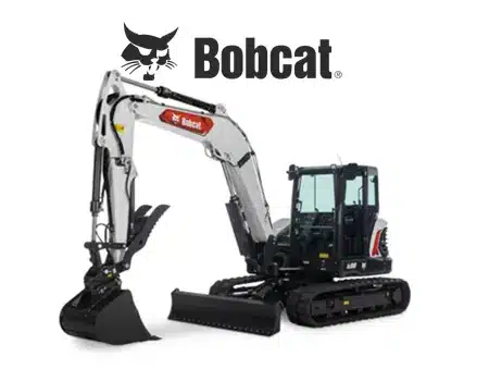 Bobcat