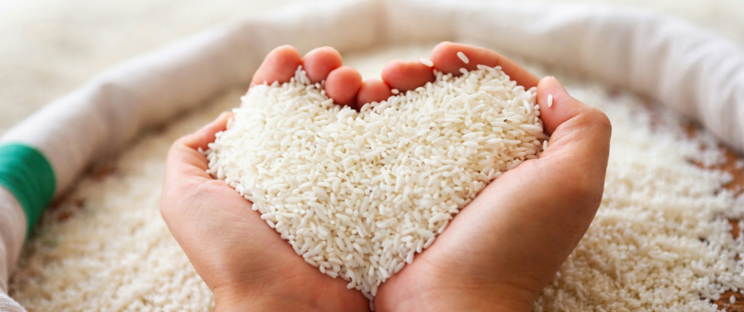 Two hands holding rice