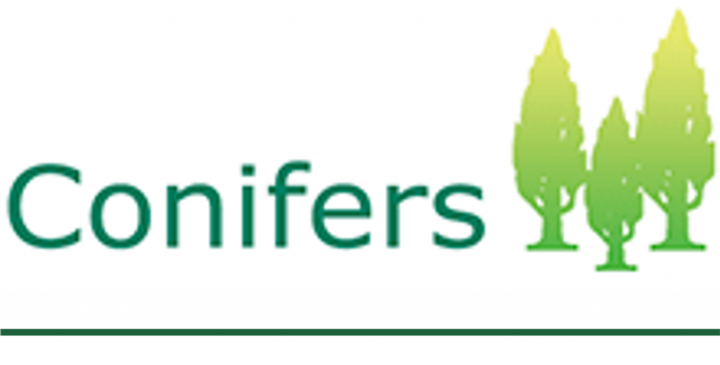 conifers logo