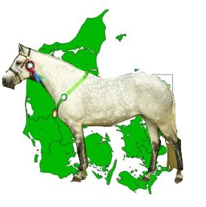 Report from Denmark 2023