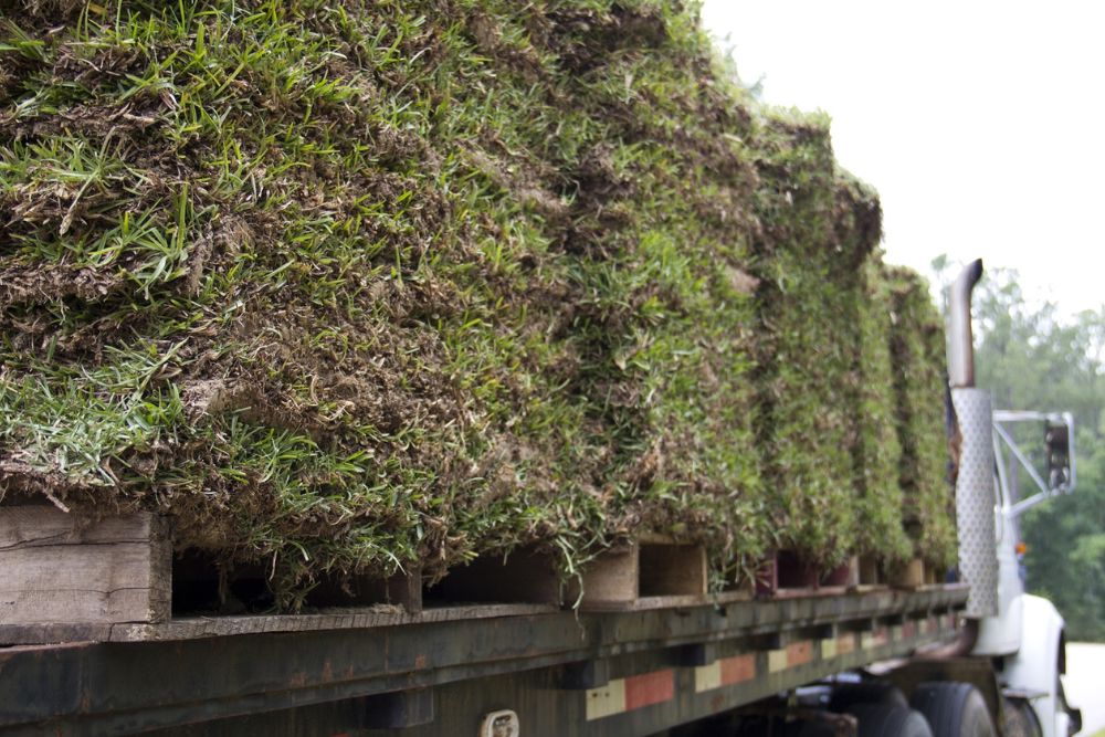 Make Landscaping Easy With Professional Sod Delivery Services