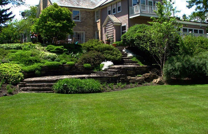 Landscaping company in San Antonio