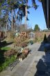Blick von der Terrasse - ***Raum zum Leben, Platz zum Träumen – Ihr einzigartiges Haus mit Potenzial!***