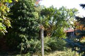 Das hintere Grundstück - ***Kleines Haus mit GROSSEM Grundstück in ruhiger und zentraler Lage. Eine Teilung ist möglich.***