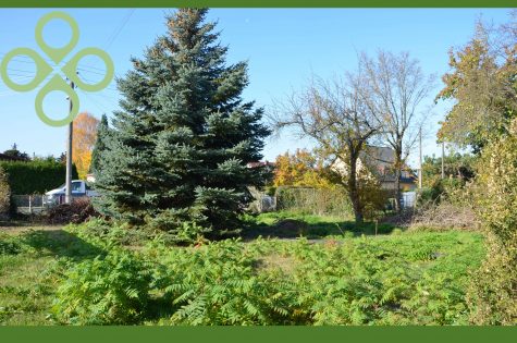 ***Sie suchen ein Bau-Grundstück in ruhiger Lage und dennoch zentral?!***, 13158 Berlin, Wohngrundstück