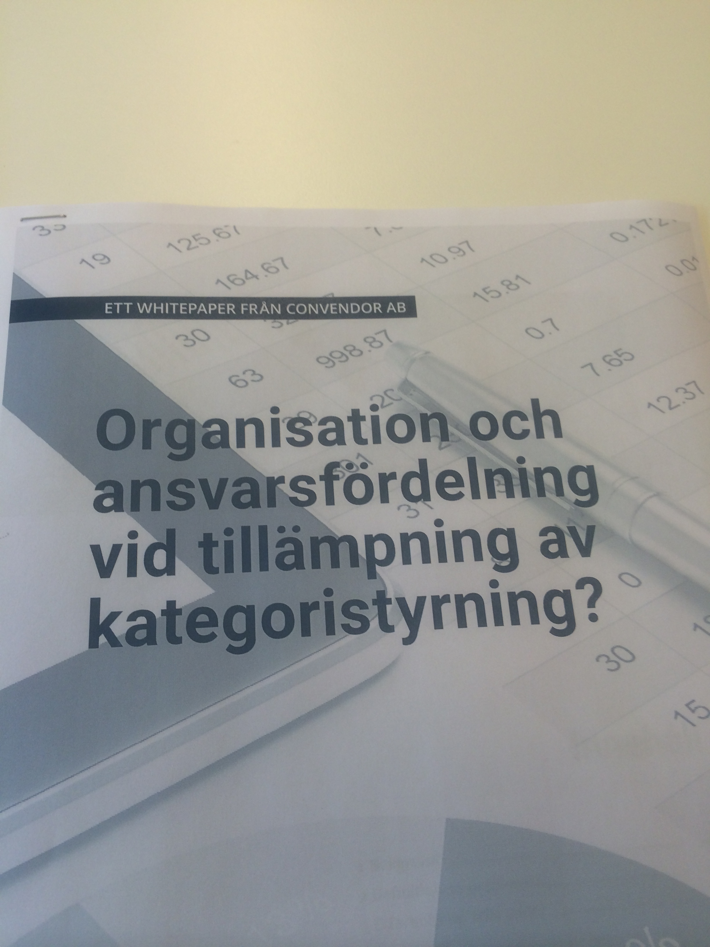 Whitepaper om organisation och ansvarsfördelning