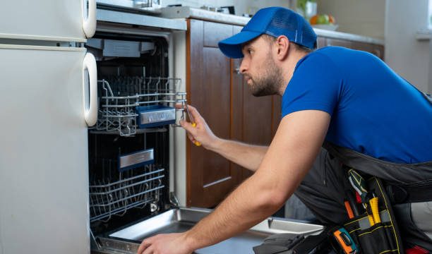 Dishwasher repair