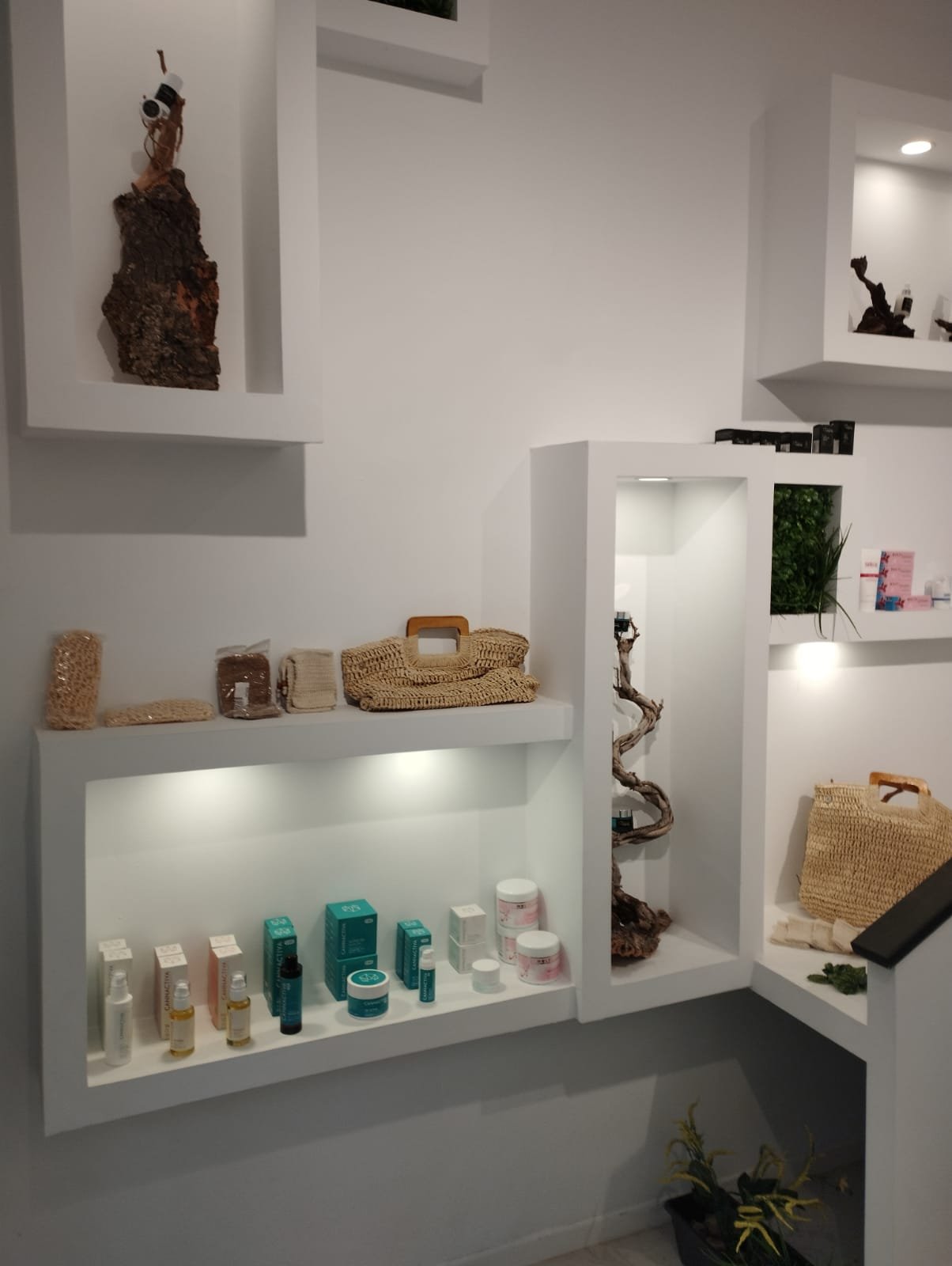 mejor-tienda-cbd