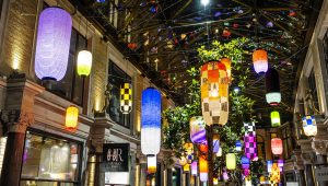 21. Vivid Verve II 2