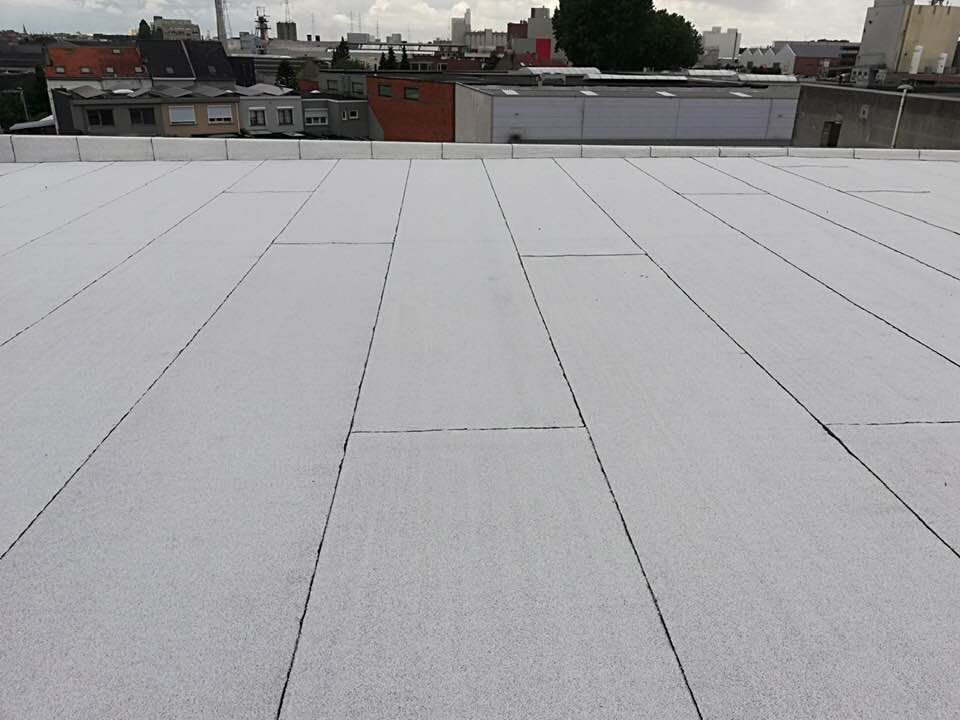 witte roofing