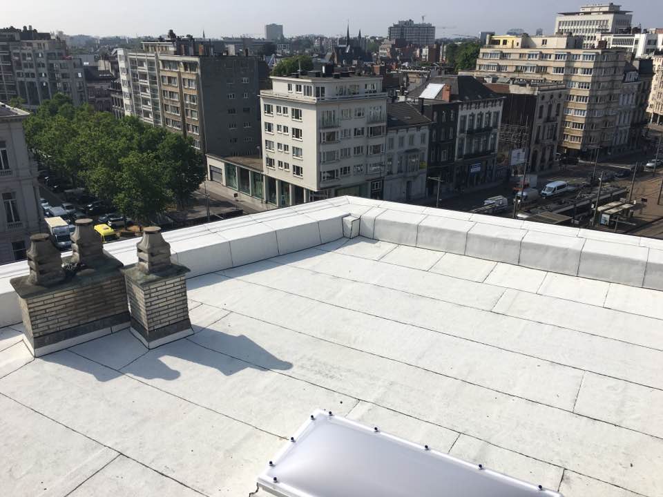 witte roofing