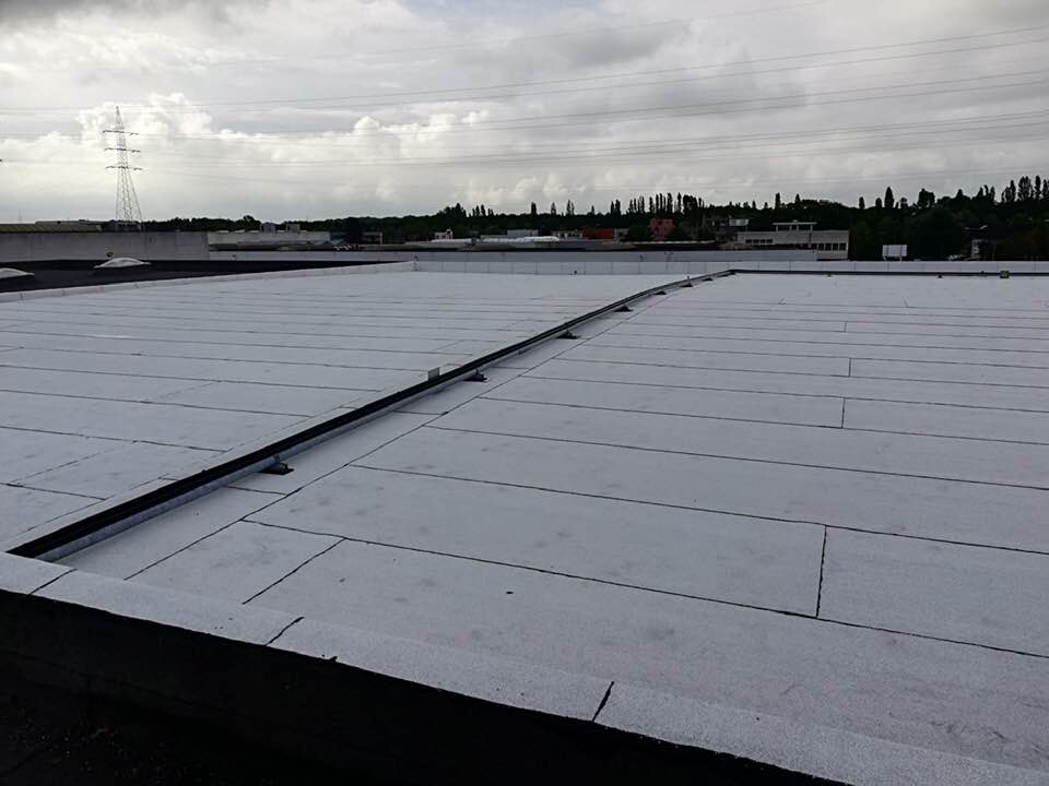 witte roofing