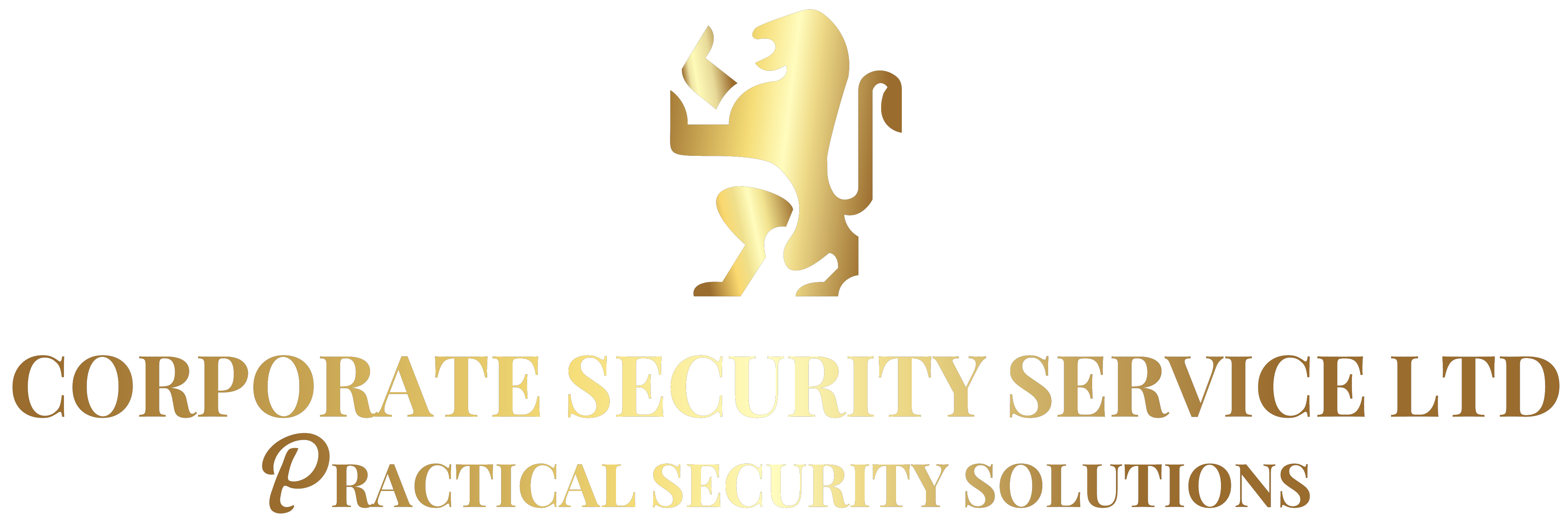 Corporate Security Service