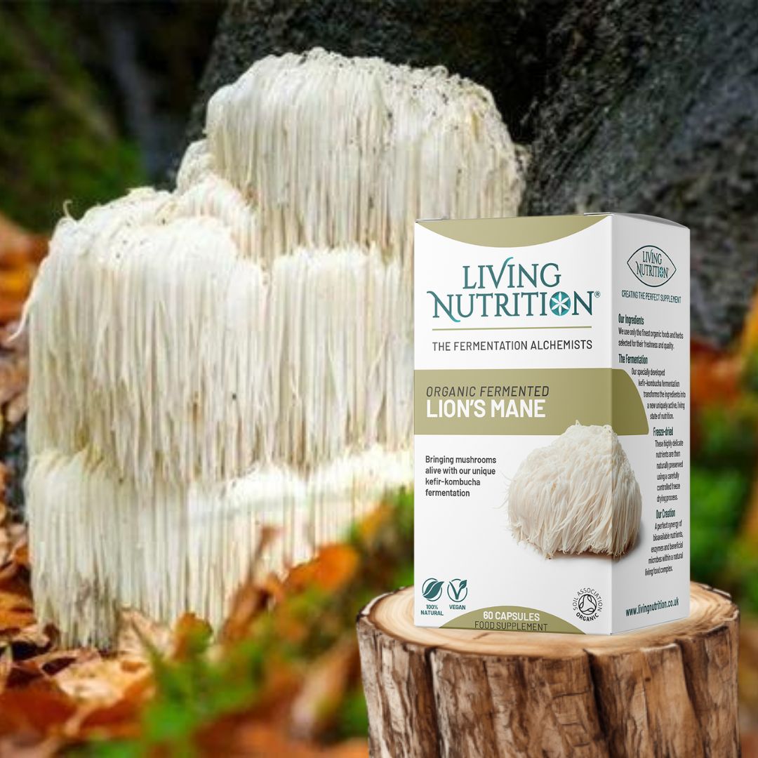 Lion's Mane lejonman kosttillskott i kapslar