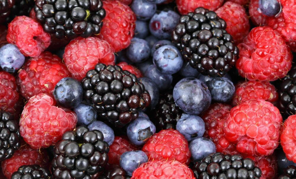 fruit-tecal