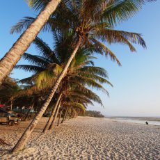 Dag 116-120 (20-24 dec.): Kerst aan het strand (deel 1)