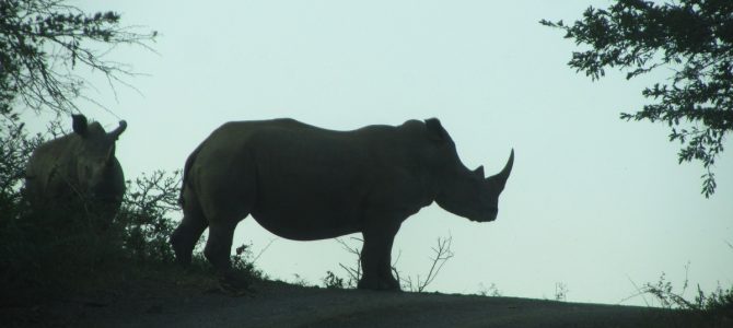 Dag 346-350 (7-11 aug.): Met Nicole, Madelief en Reza in Hluhluwe