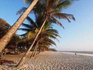 PC238417 - Tiwi beach