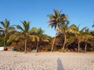 PC238421 - Tiwi beach