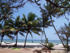 PC258488 - Tiwi beach