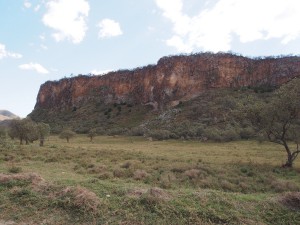 P1039378 - Hells Gate NP