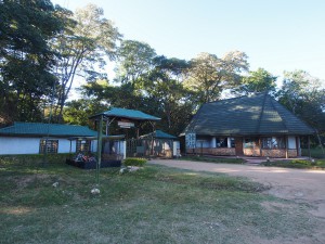 P1069540 - Kakamega Forest NR