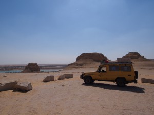 PA173715 - Wadi Rayan