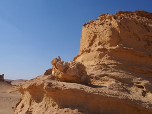 PA173760 - Wadi el-Hettan
