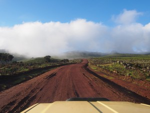 PB297401 - Bale Mountains NP