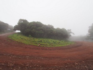 PB297501 - Bale Mountains NP