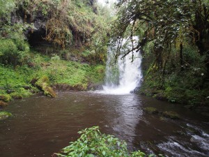 PB297529 - Waterval Rira rivier in Bale Mountains NP