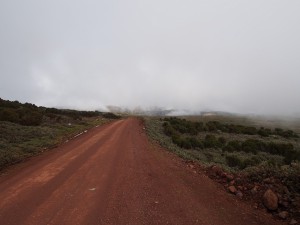 PB307617 - Bale Mountains NP