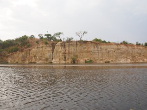 P1271569 - Nestmuur Murchison Falls NP