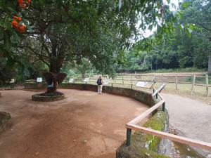 P1301661 - Entebbe dierentuin