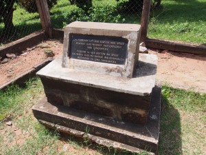 P2212937 - Monument Burton en Speke Livingstone Museum