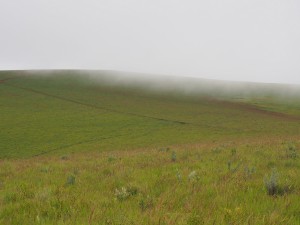 P3084162 - Nyika NP