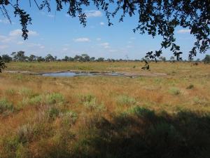 P4297534 - Waterhole Mudumu NP