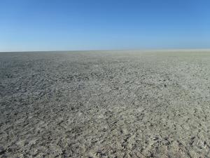 IMG 0223 - Etosha Pan Etosha NP