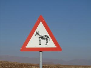 IMG 0511 - Overstekende zebras onderweg naar Aus