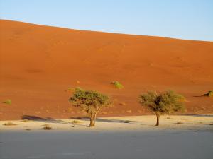 IMG 0350 - Deadvlei