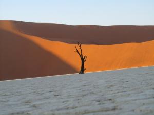 IMG 0367 - Deadvlei