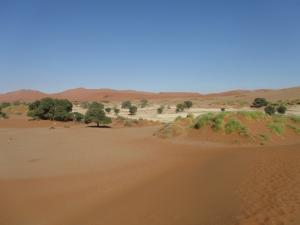 IMG 0453 - Sossusvlei in Sossusvlei