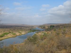 IMG 2495 - Kruger NP